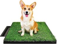 Mofish Dog Grass Potty Systems, Ind