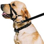 Ancol Weatherproof Nylon Black Training Halter Head Collar Animal Pet Training Accessory, Small