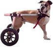 Walkin' Wheels Large Dog Wheelchair, Lightweight Dog Wheelchair for Back Legs, 70-180 lbs, for 17-19 inches Leg Height - Pink