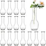 ZOOFOX Set of 16 Glass Bud Vase, Small Vases for Flowers, Clear Glass Flower Bottle for Rustic Wedding Centerpieces, Home Table Flower Decor, Floral Arrangements