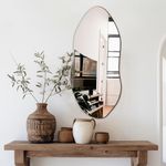 Delma Irregular Wall Mirror for Wal