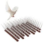 Xakay Bird Spikes Stainless Steel Pigeon Spikes Anti Climb Wall Fence Spikes Cat Deterrent Repellent Spikes for Roofs and Windows, Outdoor Stab Birds Control for Squirrel (10 Pack, 3M, Uninstalled)