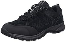 Timberland Men's Sadler Pass Fabric and Leather Low Gore-tex Hiker Boots, Black Suede, 9.5 UK