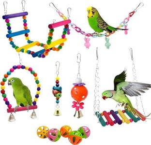 Bird Toys 