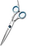FARRAY Hair Cutting Scissors，6.5 Inch Professional Stainless Steel Barber Hair Scissors，for Both Salon and Home Use (Silver)