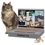 Cat Scratcher Laptop