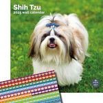 Baker and Bray Shih Tzu Calendar 2025, Large Square Wall Calendar With Organisational Stickers, 16 Month, Shih Tzu Gift Dog Calendar