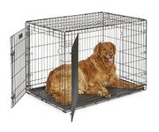 Folding Wire Dog Crate