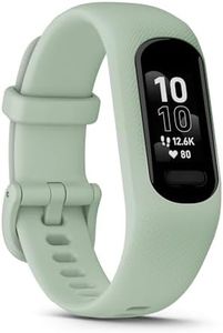Garmin vív