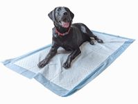 20 Extra Large Puppy Wee Pads - 150x80cm Dog Toilet Training Pads, Super Absorbent Pet Incontinence Pads, 2300ml Capacity, Pack of 20 - By Speedwellstar