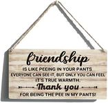 Friends Signs Gift Farmhouse Friendship is Like Peeing in Your Pants Wooden Hanging Sign Rustic Wall Art Home Bathroom Decoration 12 x 6 Inches