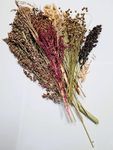 Small Animal Natural Dried Flower M
