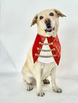 Dog-O-Bow Brocade Vest Bandana for Dogs (M, Red and White)