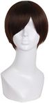 MapofBeauty Fashion Men's Side Bnags Short Straight Synthetic Wig (Dark Brown)