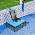 PEEH Animal Saving Escape Ramp, Frog Saver for Swimming Pool Rescue Critter for Frog, Toads, Lizards, Ducks, Snakes, Squirrel, Chipmunk, Pool Maintenance Accessories Floating Ramp Tooll (Blue 1PCS)