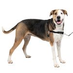 PetSafe Easy Walk Dog Harness, No Pull Dog Harness, Black/Silver, X-Large