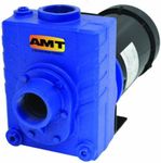 AMT Pump 2761-95 Self-Priming Centrifugal Pump, Cast Iron, 2 HP, 1 Phase, 115/230V, Curve B, 2" NPT Female Suction & Discharge Ports