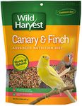 Wild Harvest B12492Q-001 Canary and