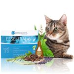 Bayer Dermoscent Essential 6 Spot On Skin Care For Cats Pet Itch Remedies