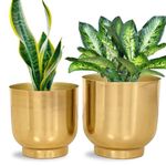 ecofynd 2 Pack Eva Metal Plant Pots (8 inch, 9 inch) | Indoor Planter Flower Pots with Drainage Hole | Home Garden Decor Planter for Living Room Bedroom Interior (Gold Finish)