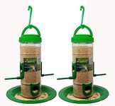 Amijivdaya Medium Bird Feeder (Green, Transparent) - Pack of 2