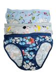 Qaila Women's and Girls fit Cotton Printed Lingerie Hipster Bikinis Knickers Panties/Briefs Innerwear Comfortable Ladies Underwear Seamless & Skin Friendly -SkyBlueGreyBlue-3XL