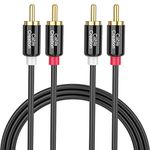 CableCreation RCA Cable, 10FT 2RCA Male to 2RCA Stereo Audio Cable Gold-Plated Compatible with Speaker, AMP,Turntable,Receiver,Home Theater, Subwoofer,Double Shielded,3M