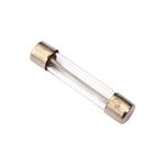 Electronic Spices 20a 250v 6mm X 30mm Fast Acting Glass Tube Cartridge Fuse Pack of 100pcs