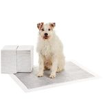 Amazon Basics Carbon Odour-Control Dog and Puppy Training Pads, Leakproof with Quick-Dry Surface, X-Large, Pack of 50, Grey