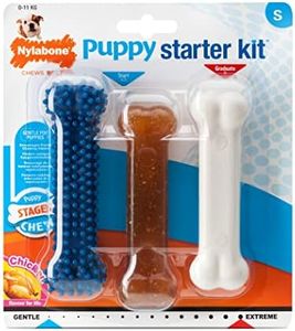 Nylabone P