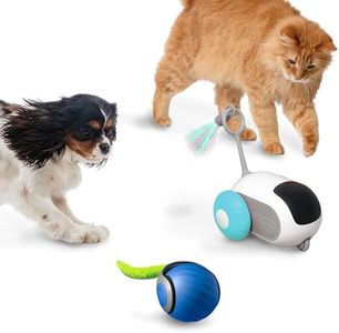 BOOTEELY 1pc Interactive Automatic Remote Control Cat Mice Car Toy and 1pc Smart Electric Moving Speedy Cat Ball Toy with Feather Tail, Suitable for Dogs, Keep Busy, Stimulating, Rechargeable (Blue)