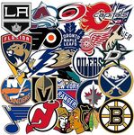 Laptop Stickers of Hockey Teams，50Pcs National Hockey Team Vinyl Decals for Water Bottles Notebook Planner Skateboard Bicycle Car Bumper Bedroom Wall Window Decal NHL Sticker for Teens Kids Fans