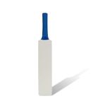 Autograph Cricket bat Natural use for Autograph and Gift Purpose (They Can't be Used for Paying Cricket), Wood