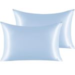 NTBAY Silk Satin Pillowcases - Satin Pillowcase for Hair and Skin, Pillow Cases 2 Pack with Envelope Closure, 50x75 cm, Light Blue