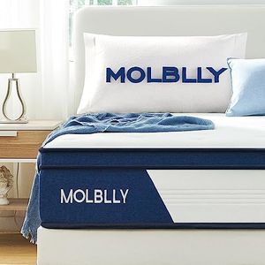 Molblly Sh