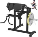 Bicep Tricep Curl Machine Preacher: Curl Bench 2 in 1 Arm Curl and Tricep Extension Machine for Home Gym Workout Black