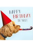 Abacus Cards Male/Female Funny Open 'Happy Birthday' Greeting Card - From The Rapture Range - 'Birthday Dog' Cockapoo Party Hat, Multicolor, 160 x 159mm (13708)