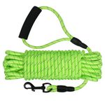 Vivifying Long Dog Leash, 32ft Reflective Dog Training Leash for Outside and Yard, Floating Long Line Lead with Soft Handle for Camping, Hiking, Swimming, Beach and Lake (10M, Green)