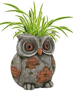 ABC Home Garden Pot de Fleurs Chouette