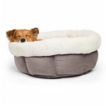 Best Friends by Sheri Jumbo Cuddle Cup in Ilan, Grey 24"x24"x10"