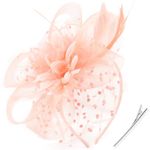DRESHOW Fascinators Hat Feather Headband Women's Fascinators Tea Party Headwear with Clip Flower Head Band for Girls & Women