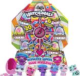 HATCHIMALS CollEGGtibles, Cat Crazy Mystery Wheel with 20 Surprises to Open, for Kids Aged 5 and Up