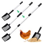 Chicken Coop Scoop