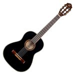 Ortega Guitars R221BK-3/4 Family Series 3/4 Body Size Nylon 6-String Guitar with Spruce Top, Mahogany Body, Black Gloss