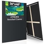 Ctosree 2 Pack Stretched Canvas for