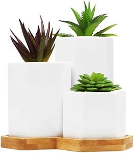 BELLE VOUS Pots De Fleurs pour Succulentes en Céramique Blanche avec Plateau en Bambou (Lot de 3) - 3 Tailles Petit, Grand, Moyen avec Trous de Drainage - Pot de Fleur Interieur, Exterieur et Bureau