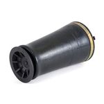 Arnott A-2610 Air Spring