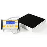 Professional Medical Floor Scale, H