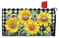 Briarwood Lane Checkered Sunflowers