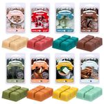 Soulorigin Winter Scented wax Melts, Scented Wax Cubes Set, Soy Wax Tarts for Warmer- Forest Pine，Spiced Apple Cider，Peppermint Hot Chocolate，Cinnamon，Gingerbread，Cranberry，Peppermint Candies，Brownies